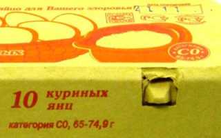 Яйца как источник сальмонеллеза