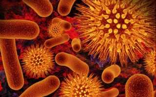 Действие полисорба