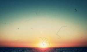 Мушки перед глазами, что это такое?