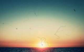 Мушки перед глазами, что это такое?