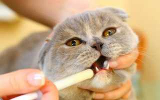 Лекарства от глистов (гельминтов) для кошек, дегельминтизация