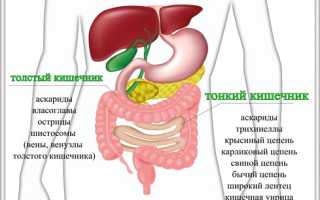Одна таблетка от глистов для взрослого и ребенка