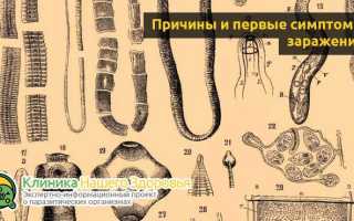 Пирантел — инструкция по применению