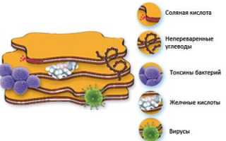 Как правильно разводить и принимать смекту