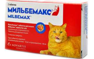 Инструкция по применению таблеток от глистов «Мильбемакс» для лечения кошек и котят: состав и дозировка, схема приема