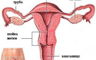 Как влияет алкоголь на зачатие ребенка