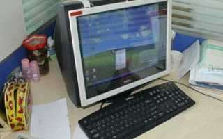 Какой цветок сможет защитить от вредного излучения компьютера