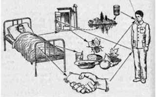 Виды и особенности кишечных инфекций