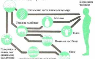 Облучение радиацией