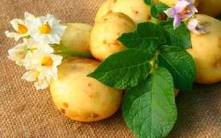 Эффективные народные рецепты от катаракты