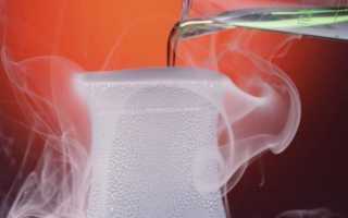 Самые опасные и смертельные яды в мире