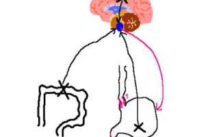 Что делать при появлении рвоты у ребенка