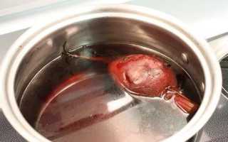 Польза и вред свекольного отвара для организма