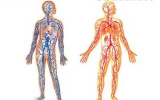 Способы чистки крови