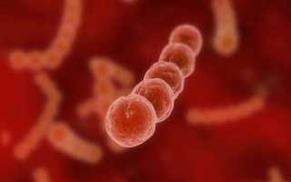 Насколько заразна стрептодермия и может ли передаться другому человеку?