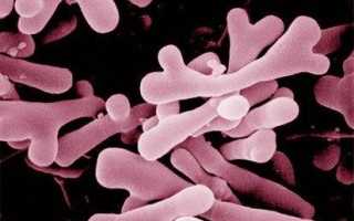 Нужно ли прекращать ГВ при кишечной инфекции у мамы