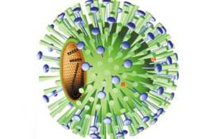 Симптомы и помощь при передозировке ремантадином