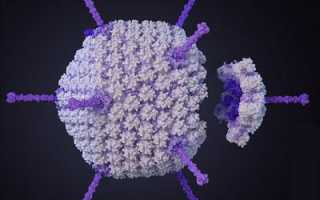 Причины вирусной кишечной инфекции