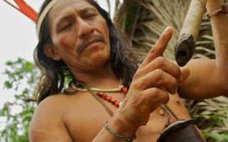 Влияние яда кураре на организм человека