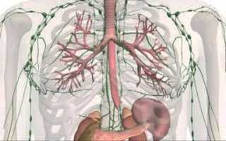 Чистка лимфы с помощью корня солодки и энтеросгеля