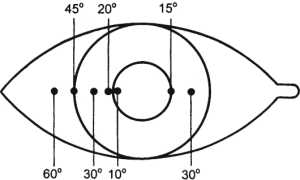 Как определить угол косоглазия по Гиршбергу? Что это значит?