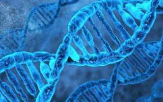 Что такое радиация и чем она опасна