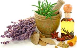 Использование трав при очищении организма