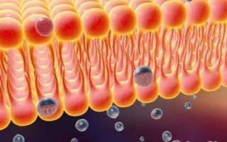 Гипероксия: механизм развития, симптомы, лечение