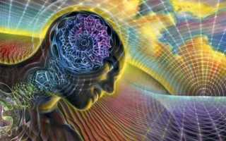 Как употреблять мед и корицу от холестерина