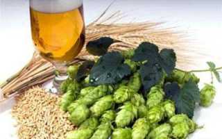 Вредно ли пиво, или Не все так плохо, как рассказывают