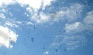 Причины по которым перед глазами мелькают мушки