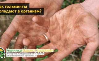 Как глисты влияют на организм человека?