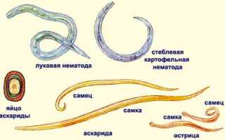 Почему у ребенка может быть понос серого цвета