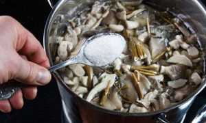 Симптомы и лечение при отравлении вешенками