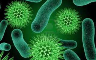 Какой сорбент лучше – полисорб или активированный уголь