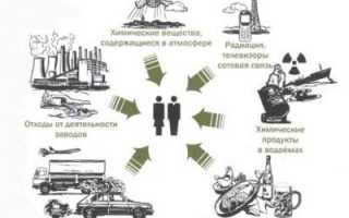 Как влияют токсины на организм и здоровье человека