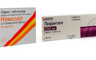 Человеческие аскариды: симптомы и лечение