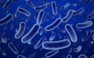 Отравление консервами промышленного и домашнего производства