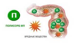 Список лучших энтеросорбентов для детей и взрослых
