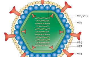 Ротавирусная кишечная инфекция