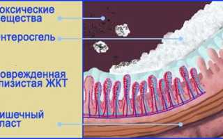 Особенности приема энтеросгеля до и после алкоголя
