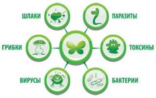 Быстрая и эффективная очистка организма от шлаков и токсинов