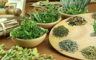 Лекарственные травы для очищения организма