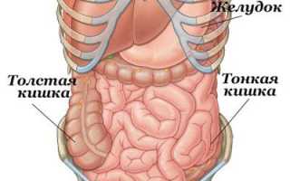 Методы очистки тонкого и толстого кишечника дома