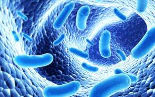 Можно ли кормить ребенка грудью при ротавирусе