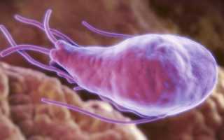 Что такое диарея путешественников