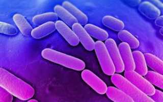 Клебсиелла пневмония