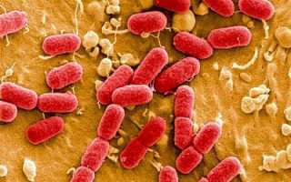 Эффективность фталазола при поносе, схемы приема препарата у детей и взрослых