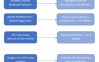 Вирусная нагрузка при гепатите с расшифровка