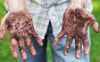 Причины, симптомы, лечение острого гастроэнтерита